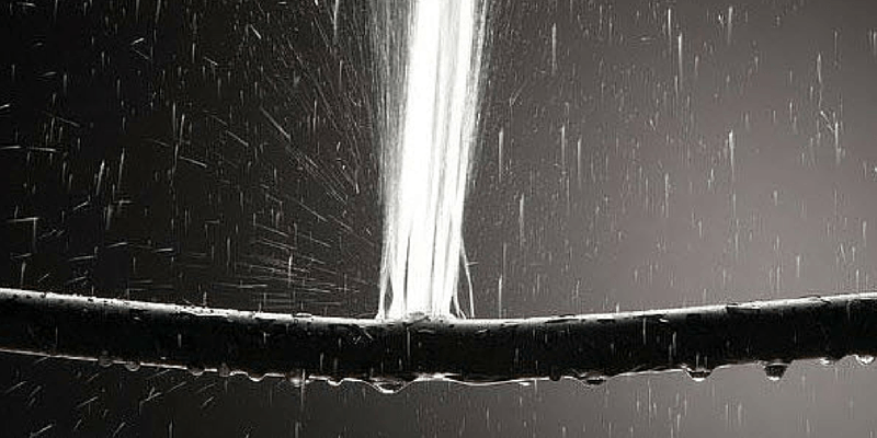 summer home maintenance