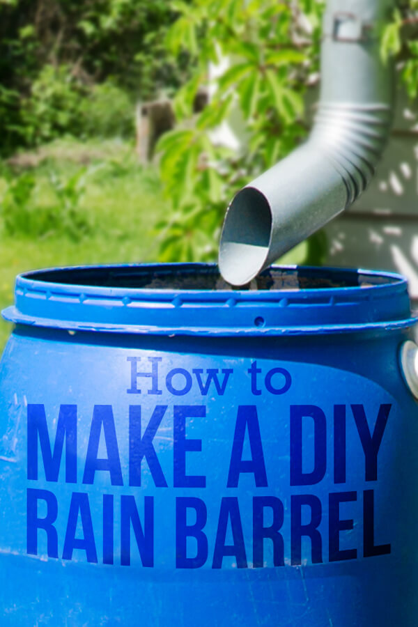 Want to save water but still have enough for your garden? Learn how to build your own rain barrel and start using rainwater for all your outdoor chores.