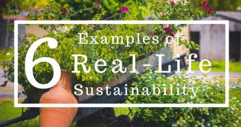 6 Examples of Sustainability