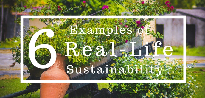 6 Examples of Sustainability