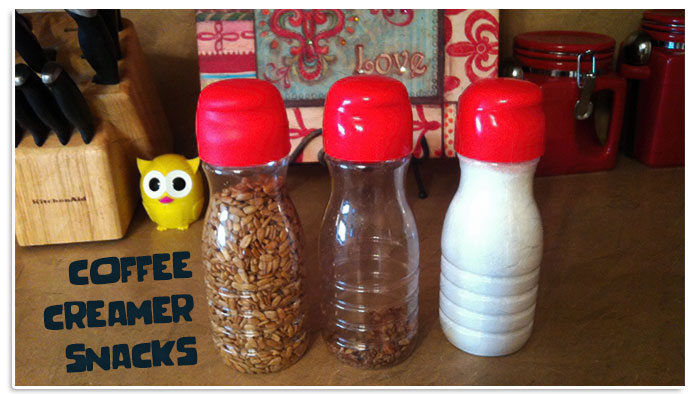 18 Smart Ways to Reuse Your Empty Glass Bottles