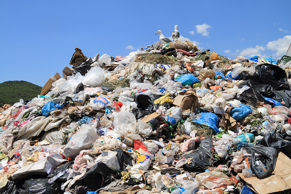 landfill bioplastics