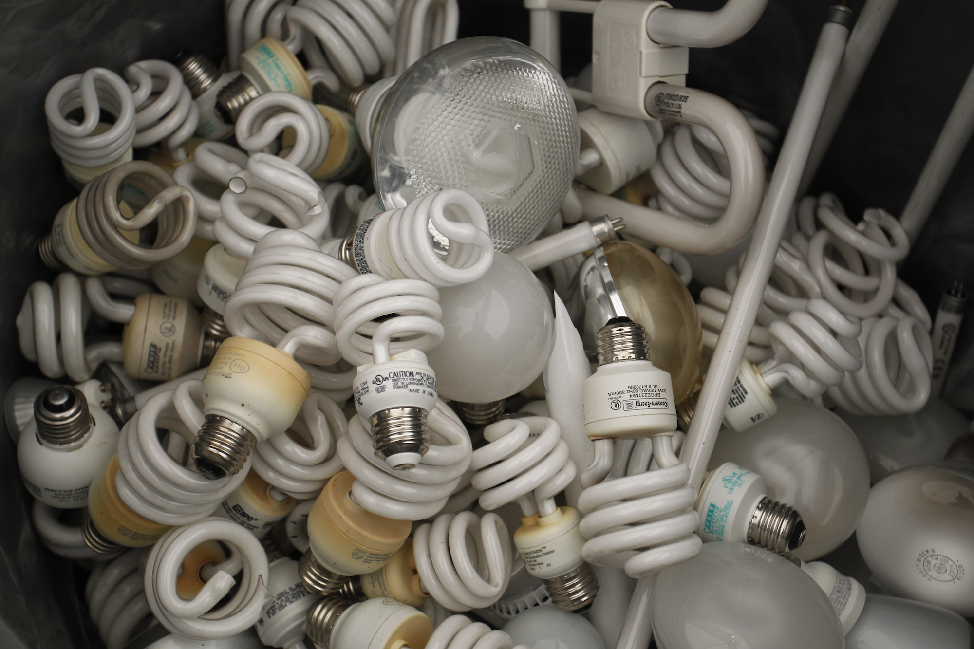 Incandescent Light Bulb Disposal Seattle Shelly Lighting