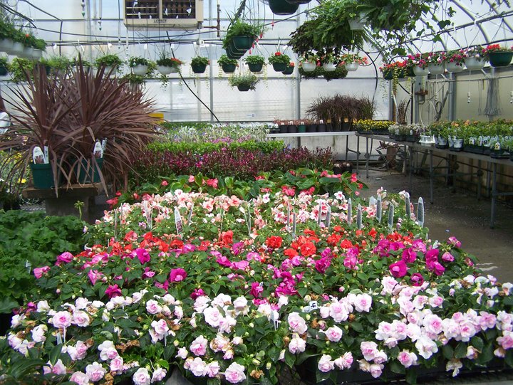 5 Nurseries and Garden Centers in Omaha