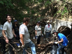Volunteers
