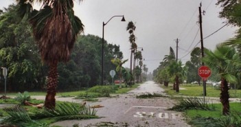 Orlando Storm Cleanup Guide