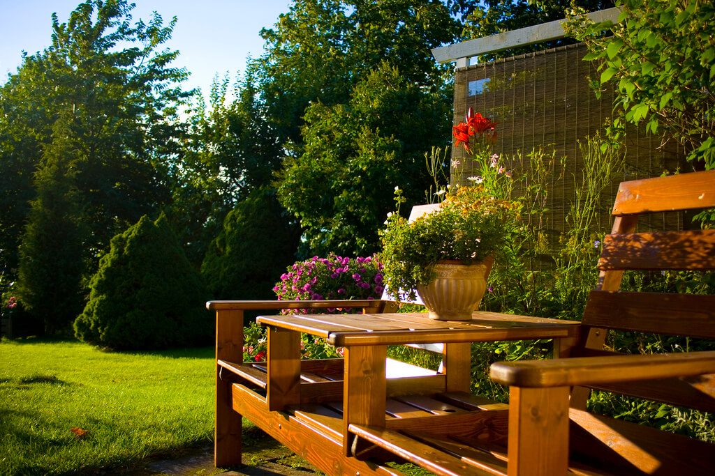 Gardening Tips