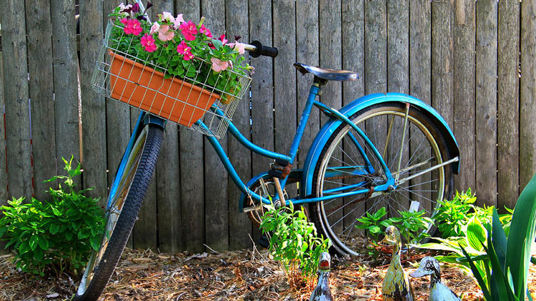 bicycle-garden
