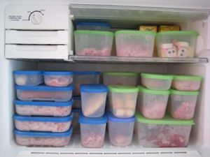 Freeze Leftovers