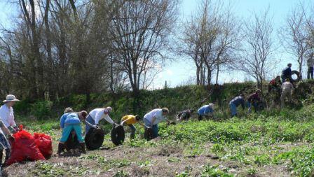 Group of volunteers cleaning tires from a river.