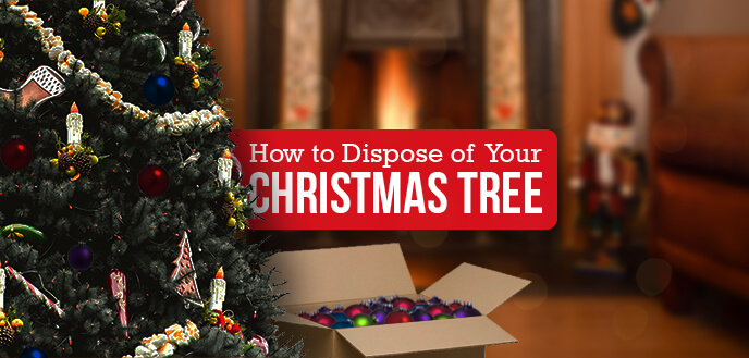 how to get rid of your christmas tree budget dumpster how to get rid of your christmas tree budget dumpster