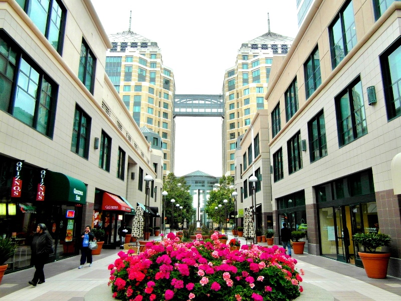Modern buildings, decorated with flowers, in Oakland.