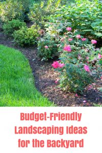 10 Ideas For Backyard Landscaping On A Budget Budget Dumpster