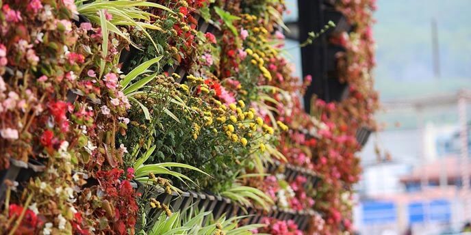 Vertical Garden with Red and Yellow Blooms