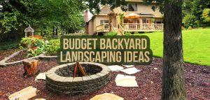 Backyard Landscaping Ideas on a Budget