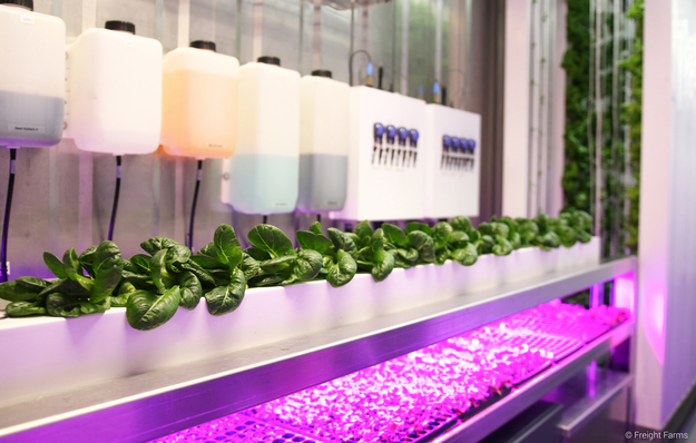 Urban farming inside a recycled shipping container.