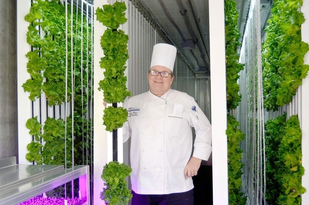 University farm inside a recycled shipping container.