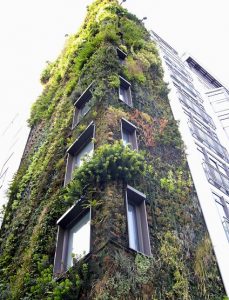 LivingWall_Building