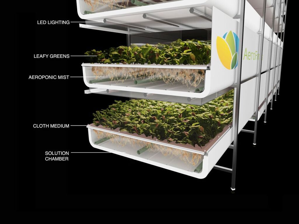 Image: AeroFarms