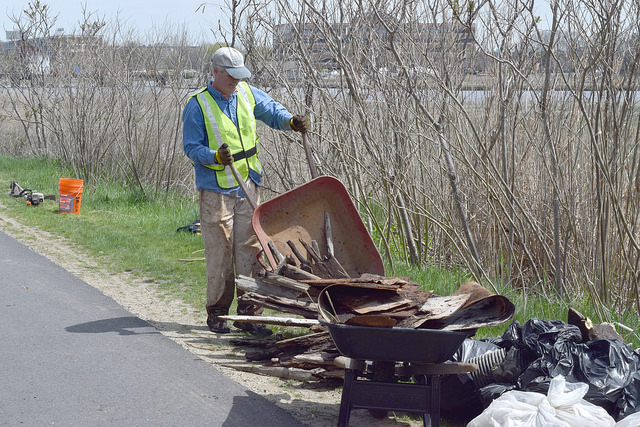 Volunteer dumping a wheelbarrow of cleaned up debris.