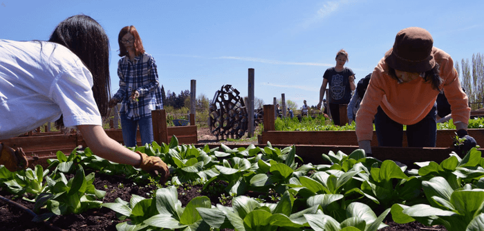 pcc rock creek learning garden