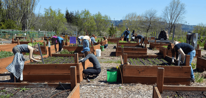 pcc rock creek learning garden