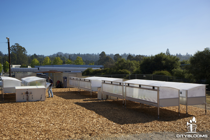 Cityblooms Automated Agriculture