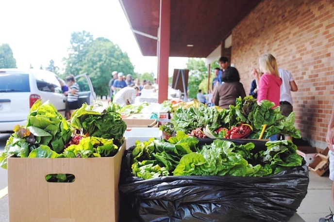 Food Collected by Urban Gleaners