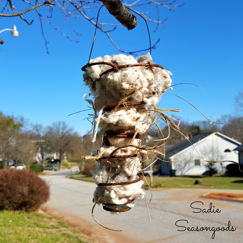 Bed Spring Bird Nest