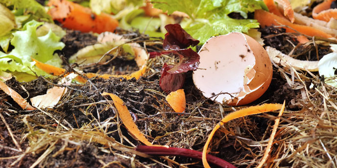 Compost for Sustainable Gardening