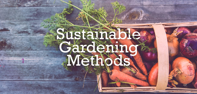 Sustainable Gardening Tips