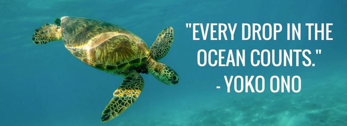 Every Drop in the Ocean Counts