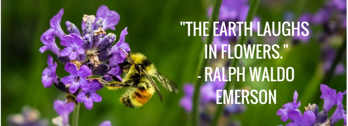 The Earth Laughs in Flowers