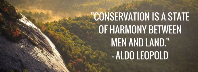 Conservation Is A State of Harmony Between Men and Land