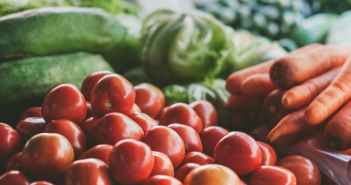 How to Start an Urban Farm