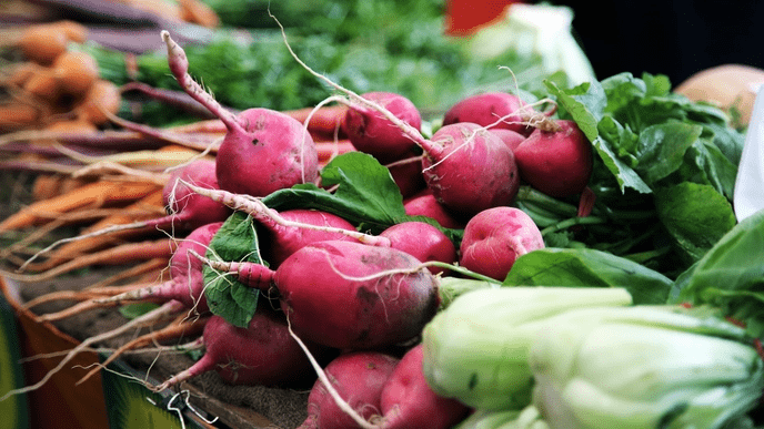 How to Start an Urban Farm