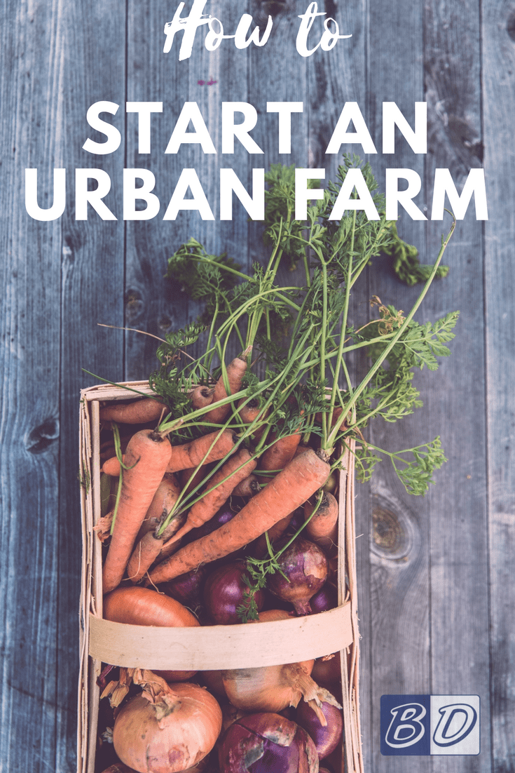 How to Start an Urban Farm