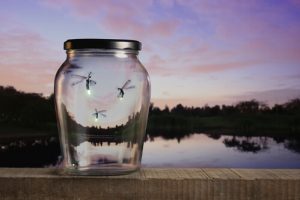 Reusing a Glass Jar as a Lightning Bug Catcher.