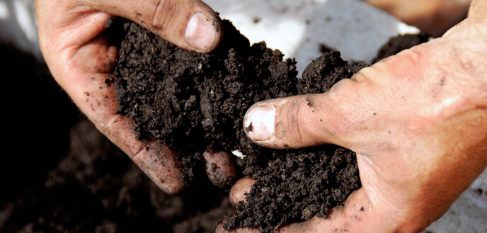 Add Soil to Flower Bed