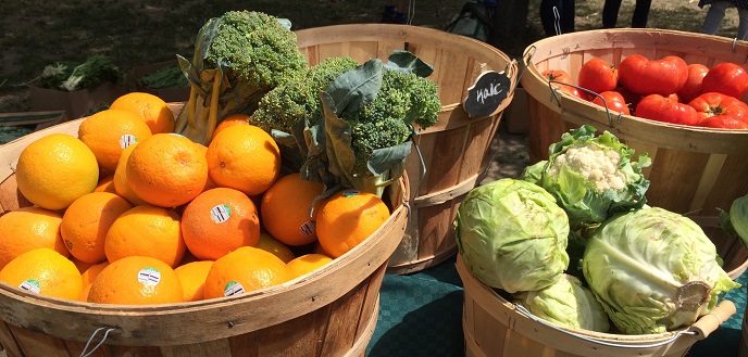 Food For Free Serving The Greater Boston Food System Budget Dumpster