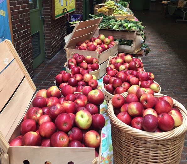 Apples