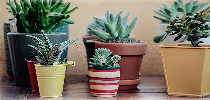 Painting Pots with Leftover Paint