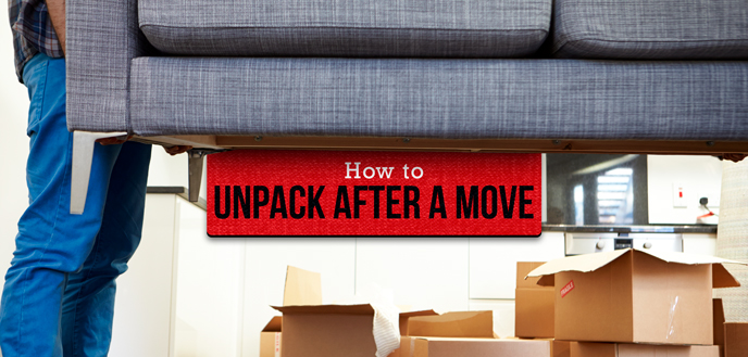 Image of a Person Unpacking After a Move