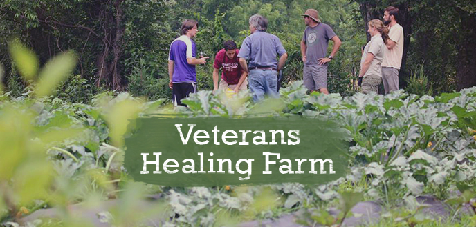 Budget Dumpster Partners With Veterans Healing Farm