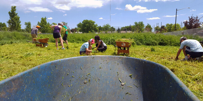 People Planting