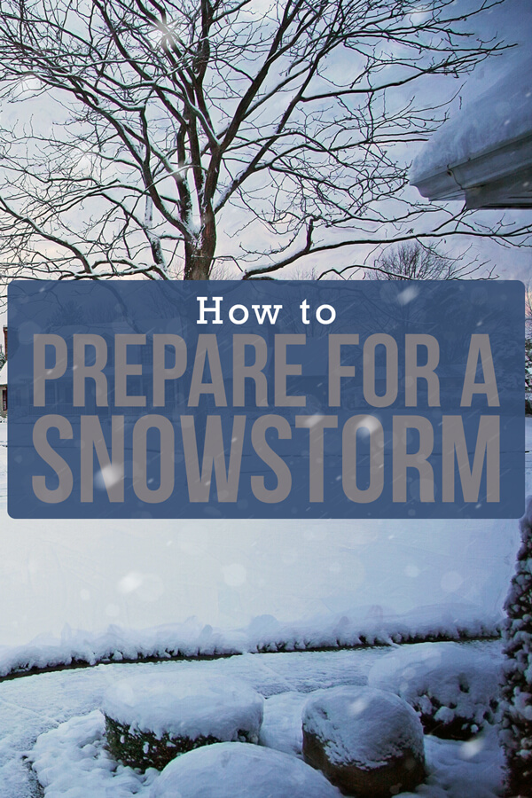 How to Prepare for a Snowstorm and Stay Safe Budget Dumpster