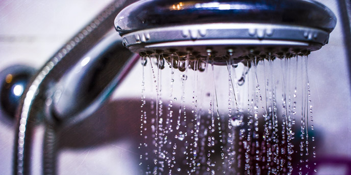 Shower Head