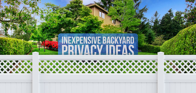 7 Inexpensive Backyard Privacy Ideas, Patio Landscaping Ideas For Privacy