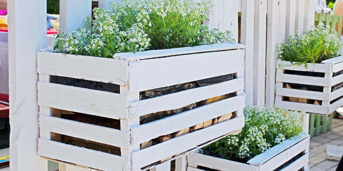 Flower Boxes Attached to White Fence
