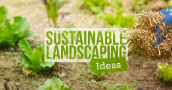 6 Sustainable Landscaping Ideas for a Greener Yard